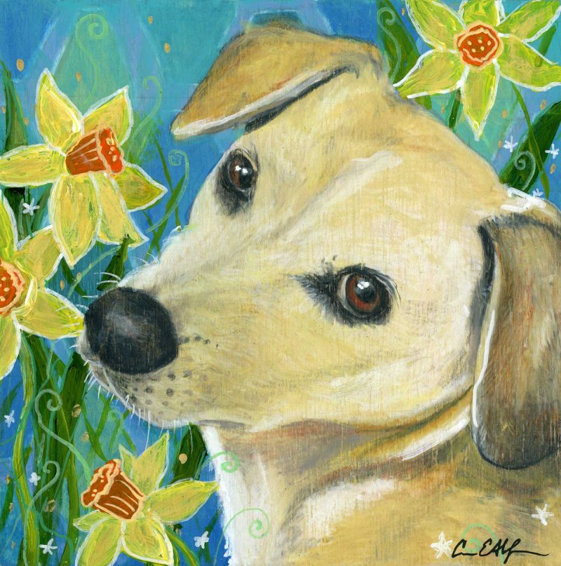 "Dog in Daffodils", 7" x 5", mixed media