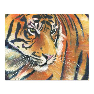 Eye of the Tiger - Art Print
