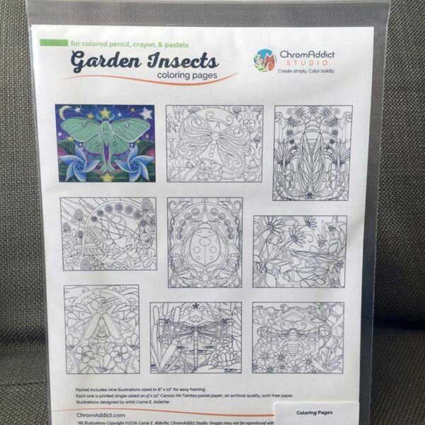 Garden Insects Coloring Book