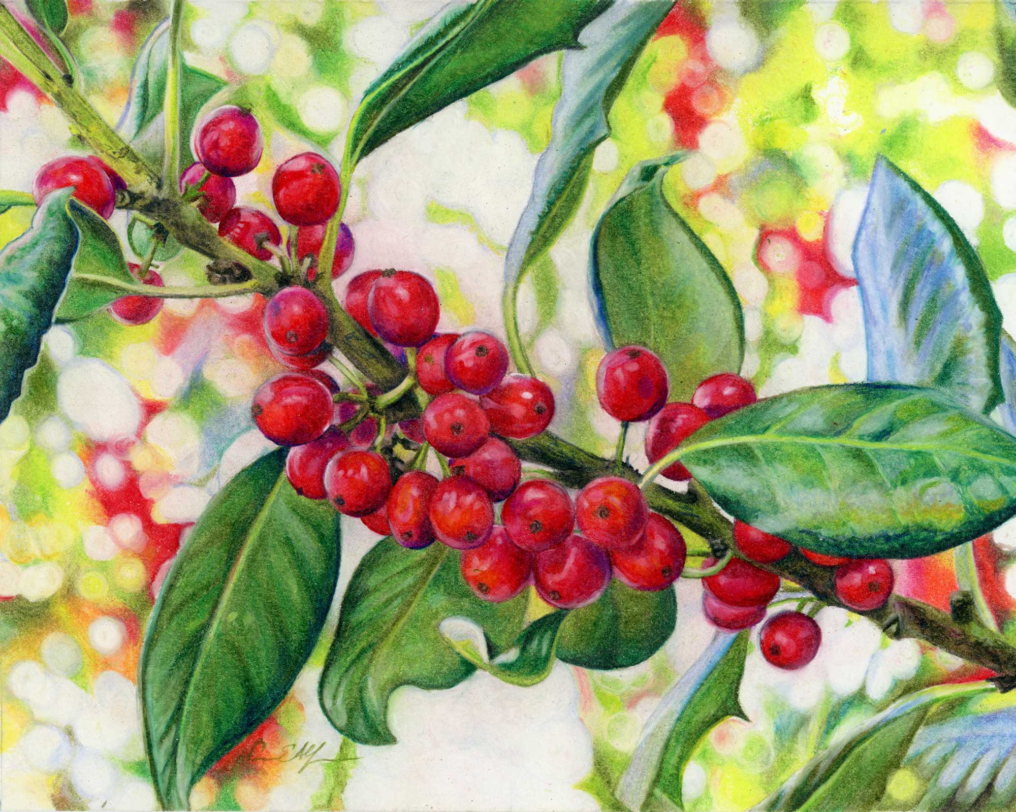 "Jolly Holly", 8" x 10", colored pencil