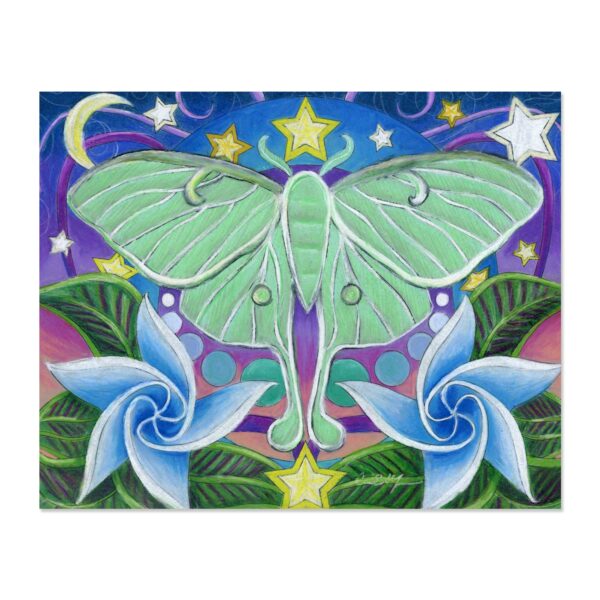 Luna Moth - Art Print
