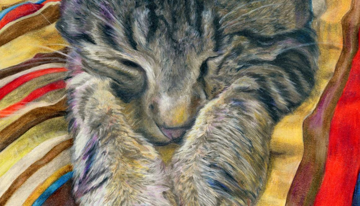 SOLD - "Mellow", 11" x 14", colored pencil