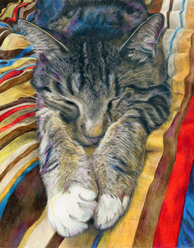 SOLD - "Mellow", 11" x 14", colored pencil
