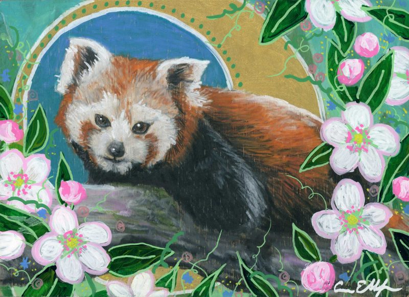 SOLD - "Red Panda and Apple Blossoms", 7" x 5", mixed media