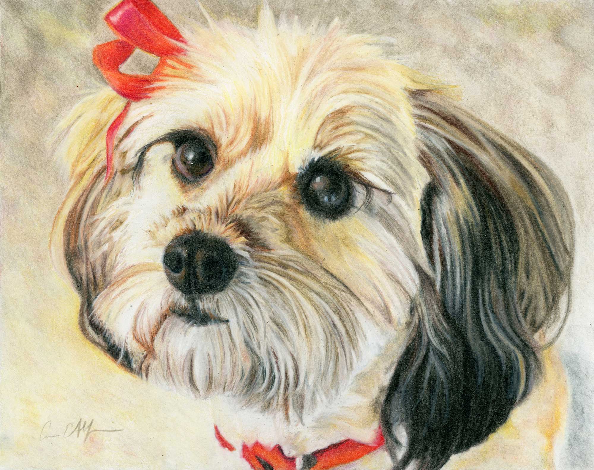 SOLD - "Red Ribbon", 8" x 10", colored pencil