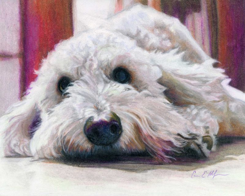 SOLD - "Those Eyes", 8" x 10" colored pencil