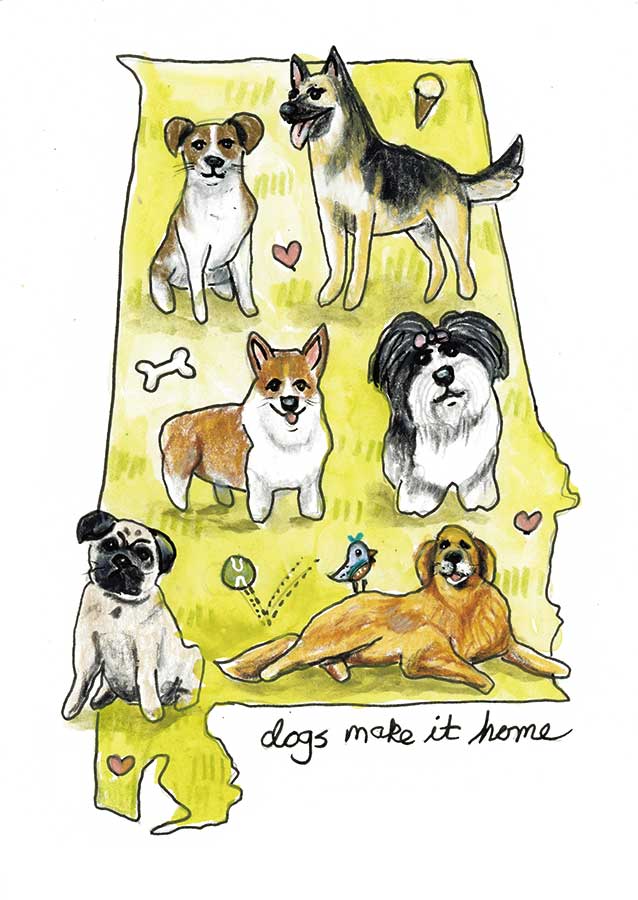 Dogs Make It Home #1, 5" x 7", mixed media