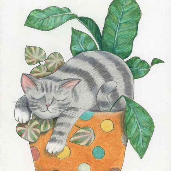 Zonked, 8" x 10", colored pencil
