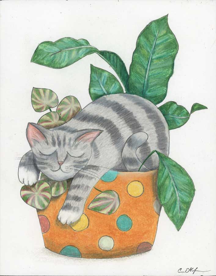 Zonked, 8" x 10", colored pencil
