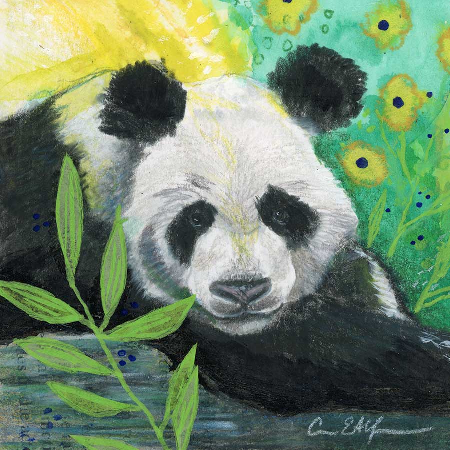 Panda Gaze, 4" x 4", mixed media