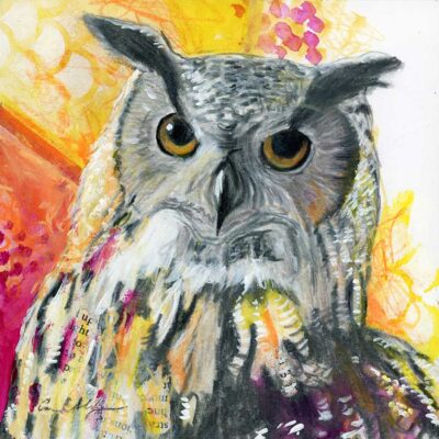SOLD - Fierce Owl, 6" x 6", mixed media
