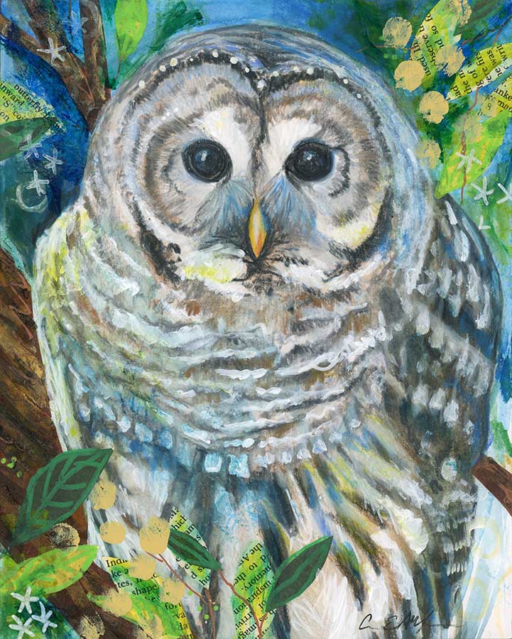 Spring Barred Owl, 8" x 10", mixed media