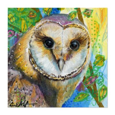 Barn Owl Gazing - Art Print