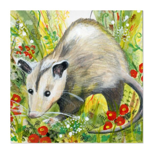 Opossum in Red Flowers - Art Print