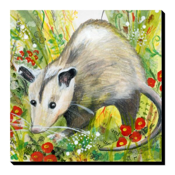 Opossum in Red Flowers - Art Print