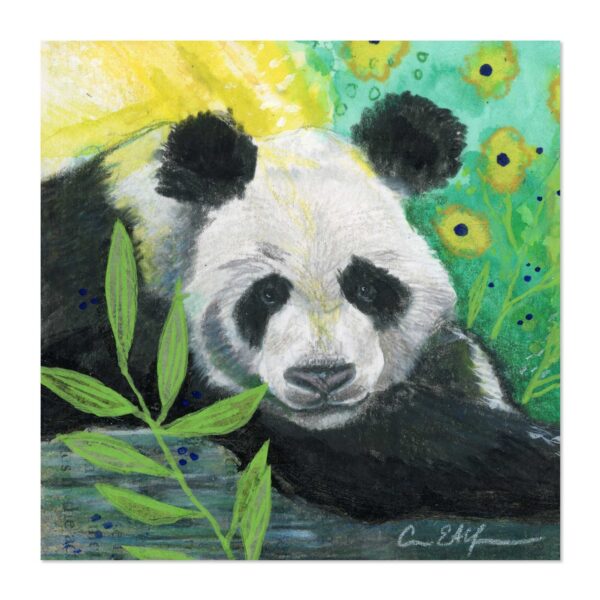 Panda Gaze - Art Print
