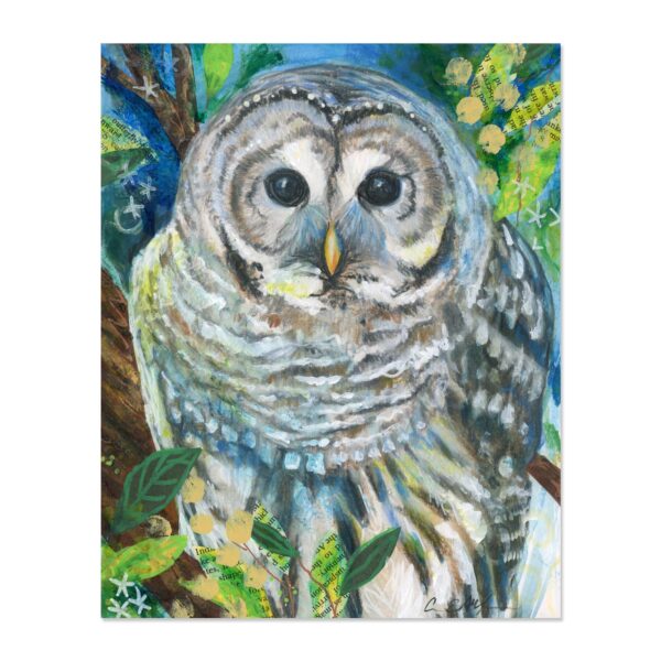Spring Barred Owl - Art Print