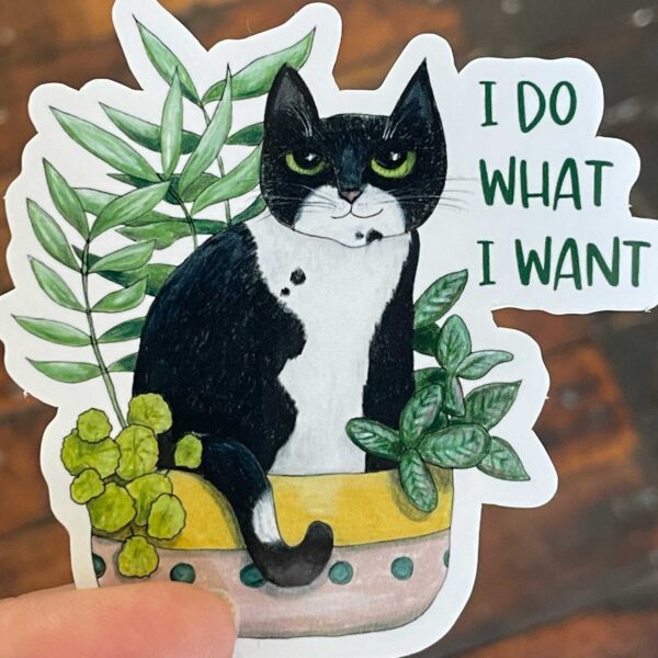 Sticker - I Do What I Want
