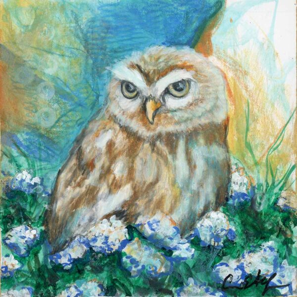 Cranky Owl - Original Art