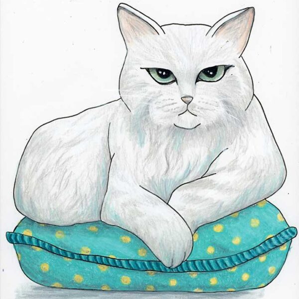 Yes, I Am Judging You Sassy Cat - Original Art