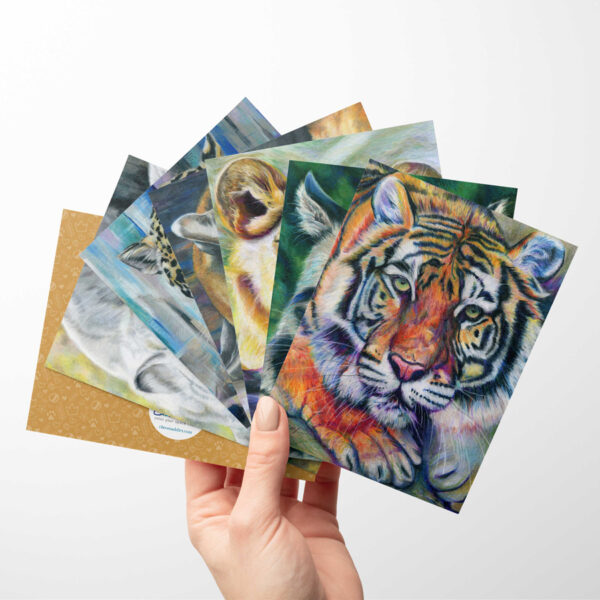 Big Cats Card Set