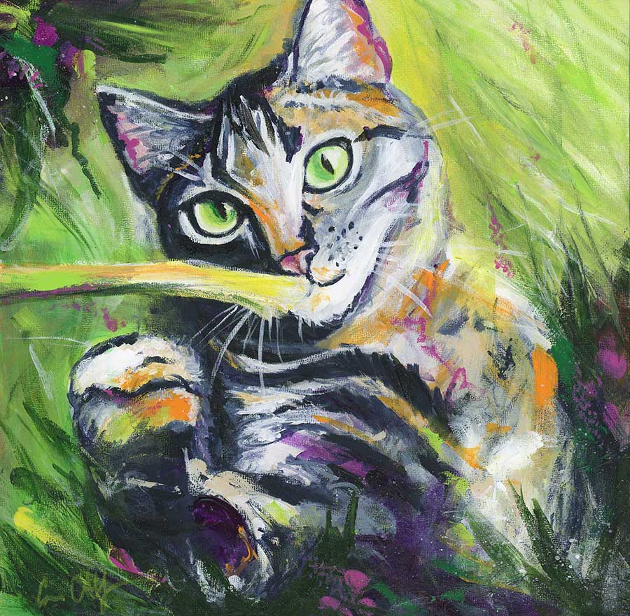 NFS - Finn, 12" x 12", acrylic