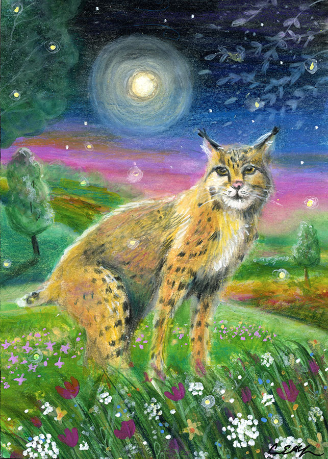 Bobcat by Moonlight, 5" x 7", mixed media