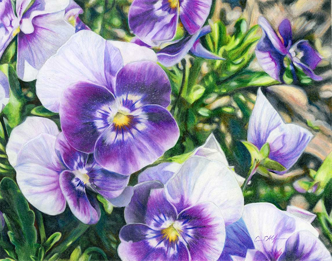 Cuddle Close, 14" x 11", colored pencils