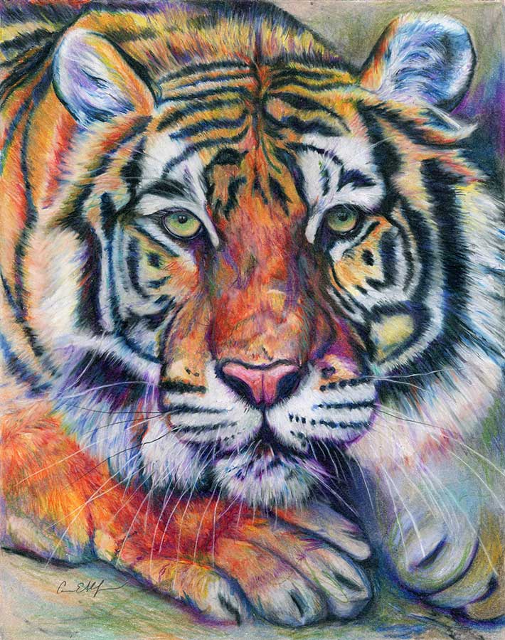 NFS - Fire Inside, 11" x 14", colored pencil