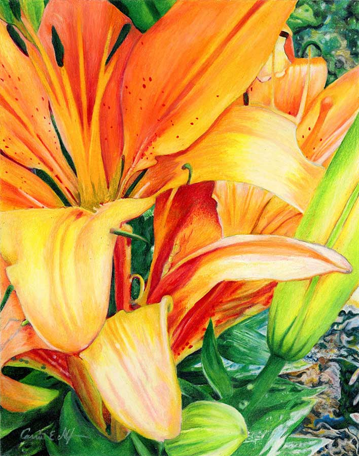 SOLD - "Flare", 11" x 14" colored pencil