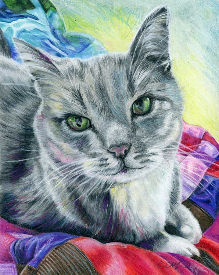 NFS - Jack, 8" x 10", colored pencil