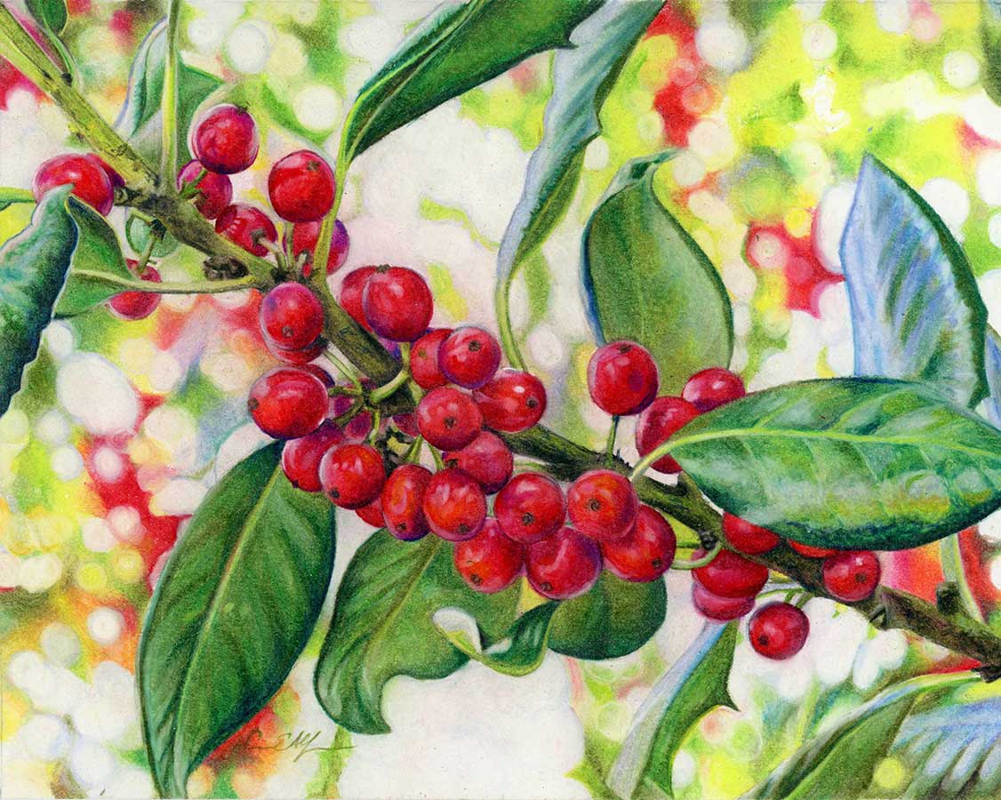 SOLD - Jolly Holly, 8" x 10", colored pencil