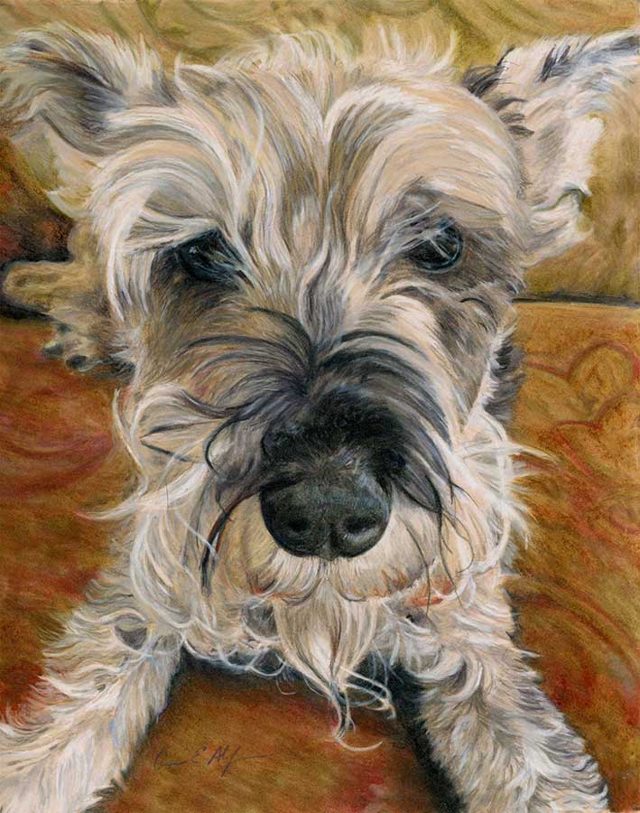 SOLD - "Look at Me", 8" x 10", colored pencil