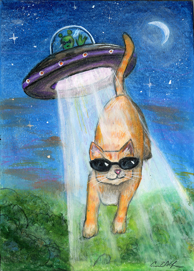 Orange Cat Energy, 5" x 7", mixed media