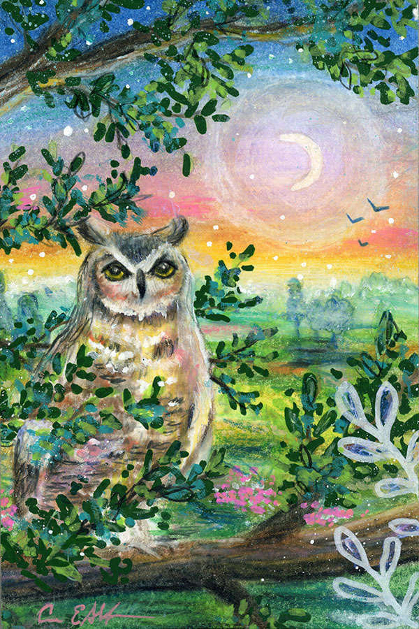 Owl at Dusk, 4" x 6", mixed media