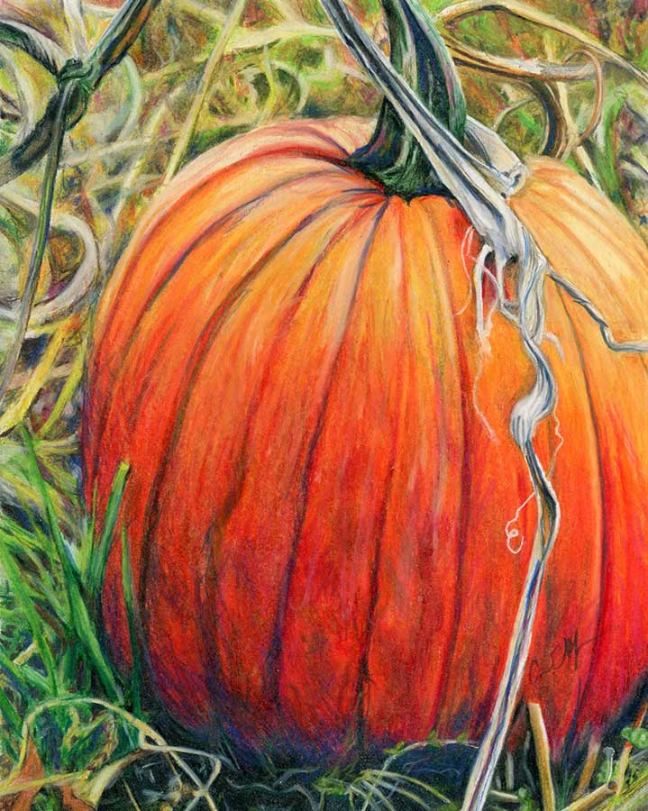 Pick Me, 8" x 10", colored pencil
