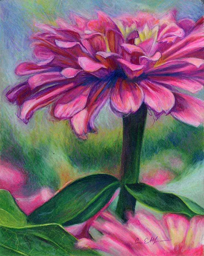 Pretty in Pink, 8" x 10", colored pencil