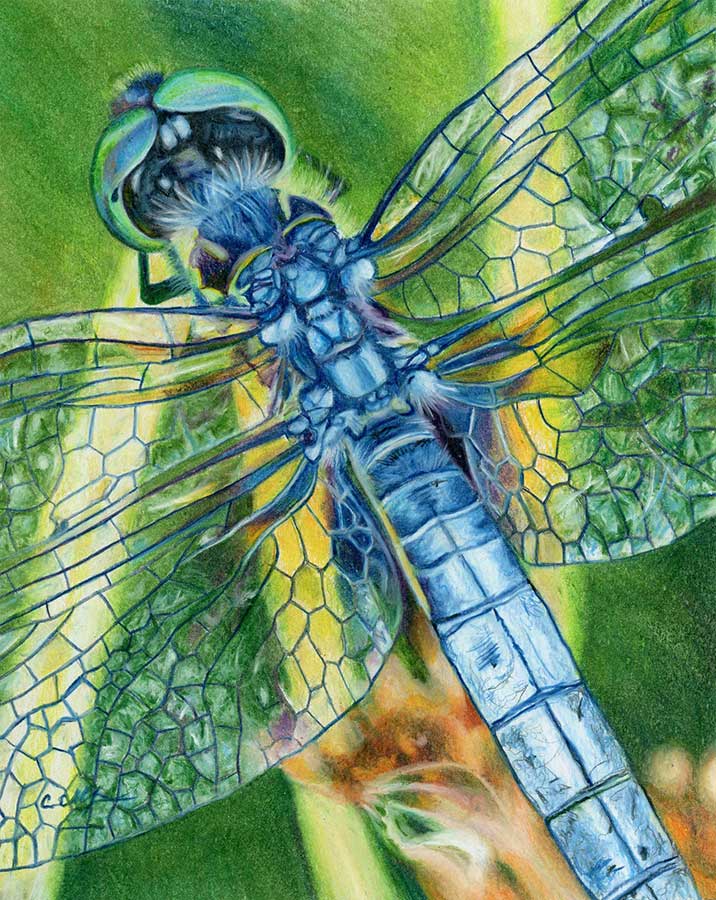 SOLD - Quick Stop, 8" x 10", colored pencil