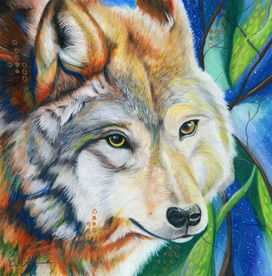SOLD - Quiet Gaze, 12" x 12", colored pencil