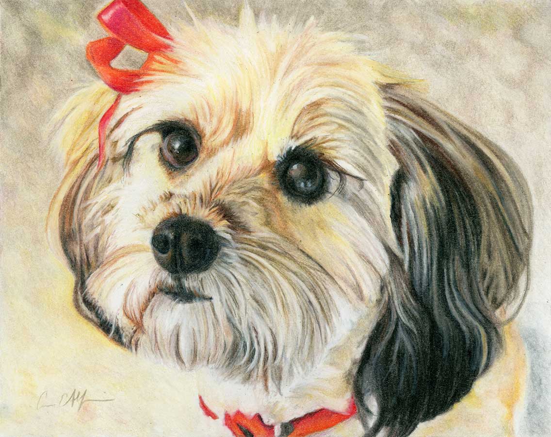 SOLD - Red Ribbon, 8" x 10", colored pencil
