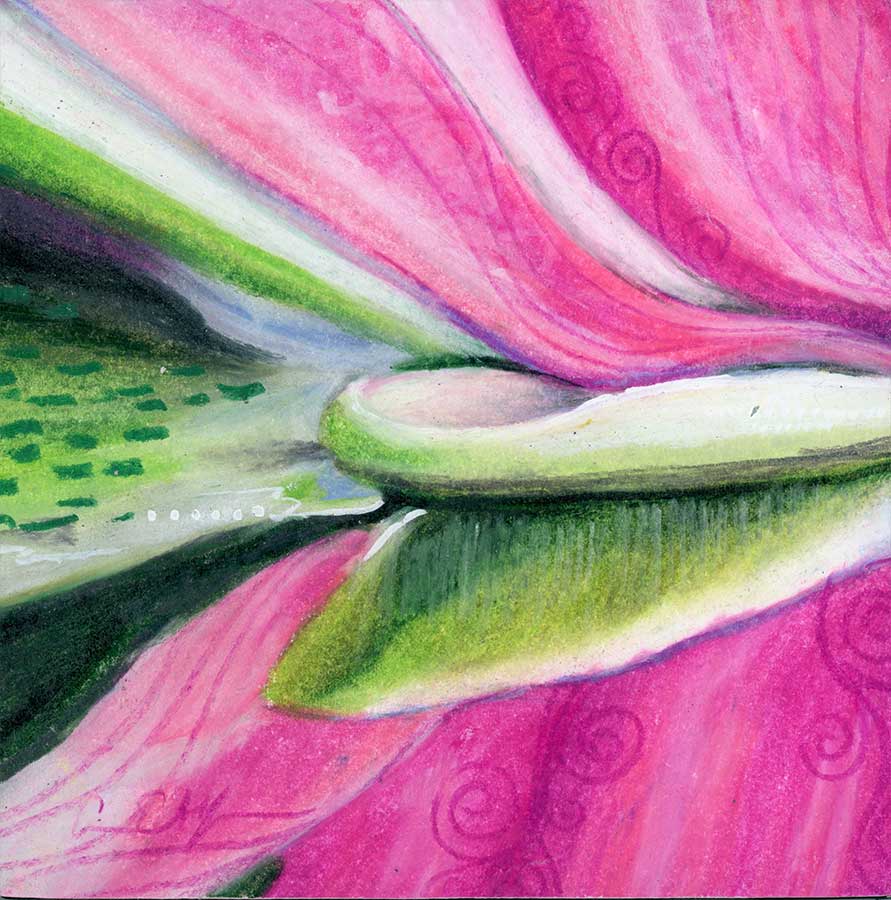 Reflected Waterlily, 4" x 4", mixed media