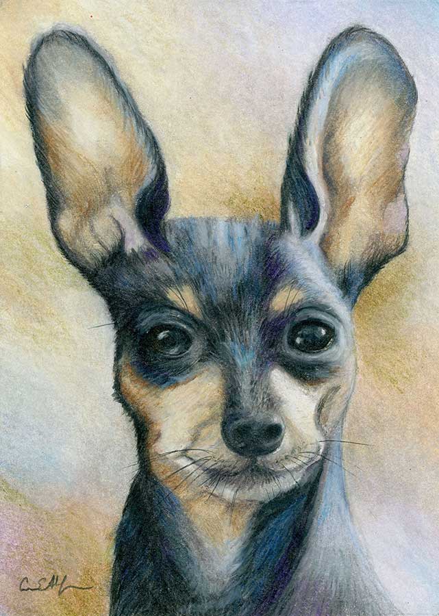 SOLD - Sam, 5" x 7", colored pencil
