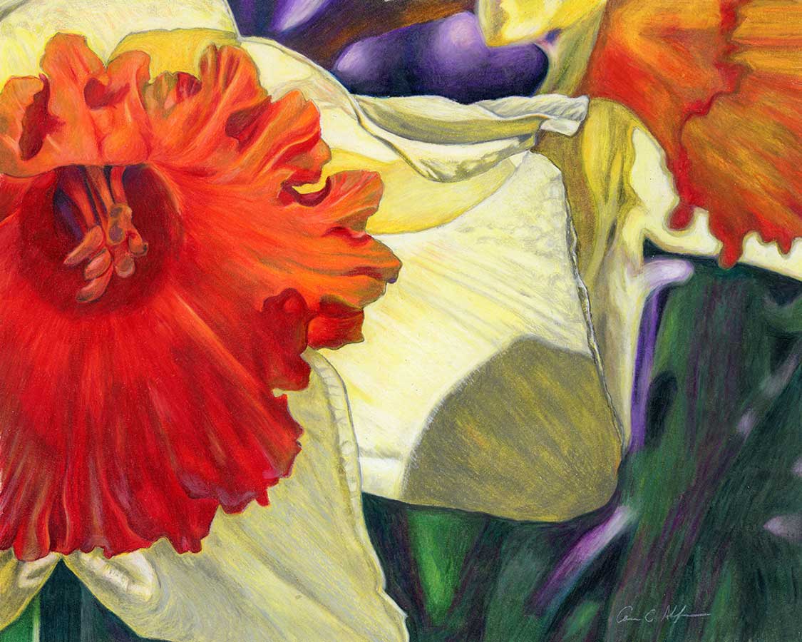 "Spotlight", 16" x 20", colored pencil