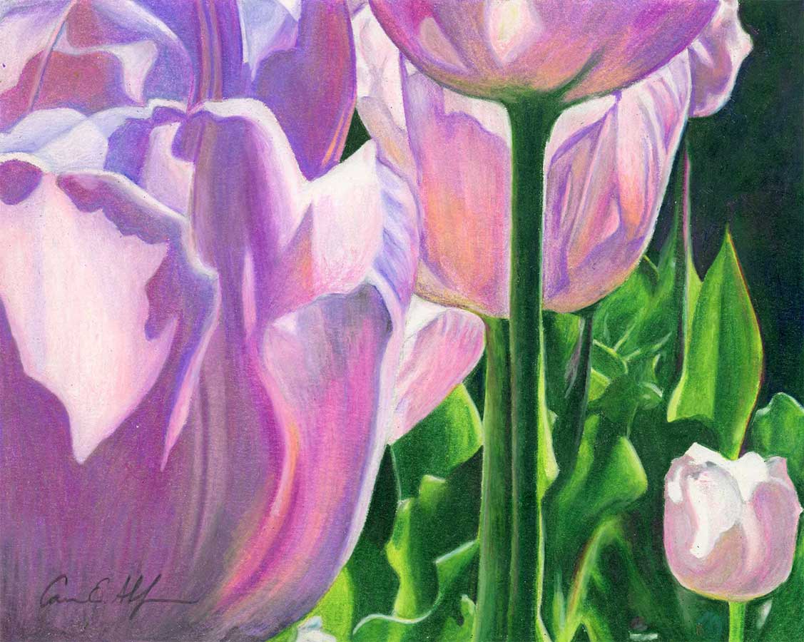 "Suncatchers", 8" x 10", colored pencil