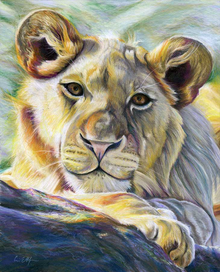 Sunny, 16" x 20", colored pencil