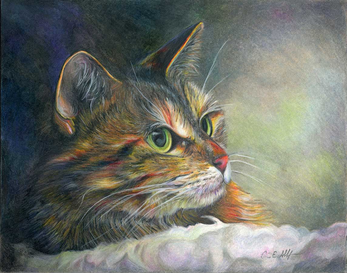 SOLD - Transfixed, 8" x 10" colored pencil