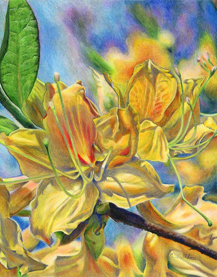 SOLD - "Warm Welcome", 11" x 14", colored pencil