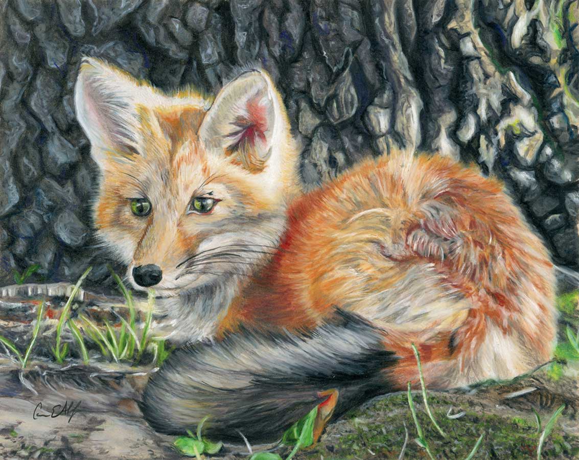 Warmth, 8" x 10", colored pencil