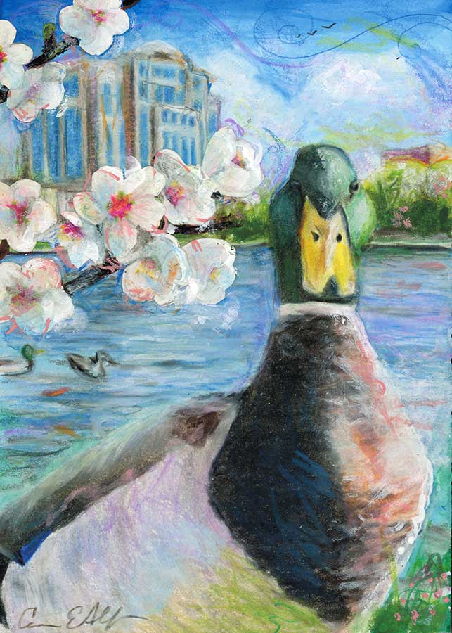 SOLD - Big Spring Mallard, 5" x 7", mixed media