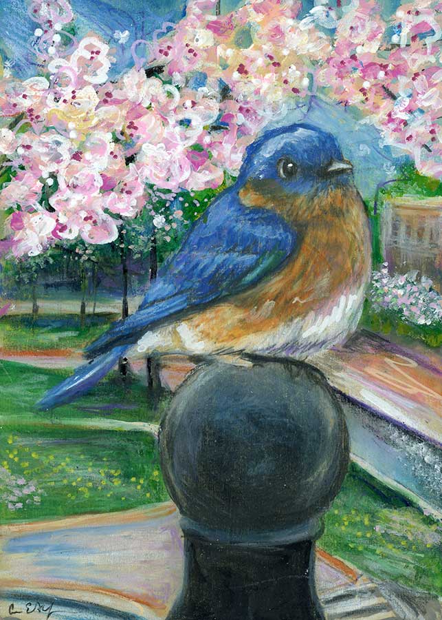 Bluebird at Big Spring Park, 5" x 7", mixed media
